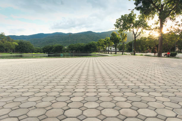 Best Interlocking Driveway Pavers  in Saxapahaw, NC